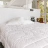 Couette Camargue 150