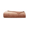 Couverture Castor Pralin par Desforges