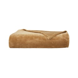 Couverture Castor Biscotte par Olivier Desforges