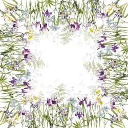 Nappe Iris d'hiver blanc par Garnier Thiebaut