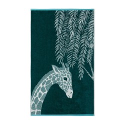 Eponge Vie sauvage par Olivier Desforges