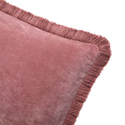 Housse de Coussin Romulus Iris par Olivier Desforges