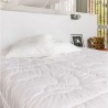 Couette Camargue 300 par Brun de Vian Tiran
