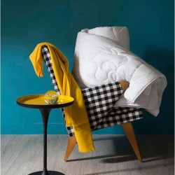 Couette Camargue 300 par Brun de Vian Tiran
