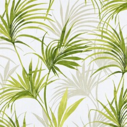 Tissu Enduit Tioute vert en 155cm