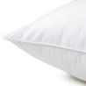 Oreiller Songe moelleux par Desforges