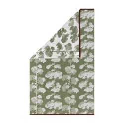 Eponge Sherwood par Olivier Desforges