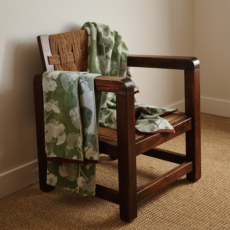 Eponge Sherwood par Olivier Desforges