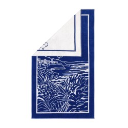 Drap de plage Riviera Navire par Desforges