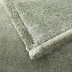 Couverture Castor kaki par Desforges