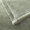 Couverture Castor kaki par Desforges