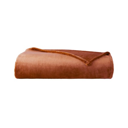 Couverture Castor Chataigne par Desforges
