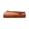 Couverture Castor Chataigne par Desforges